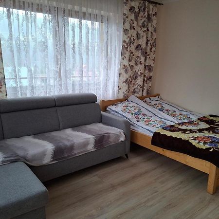 Apartamenty U Gabi Poronin Buitenkant foto