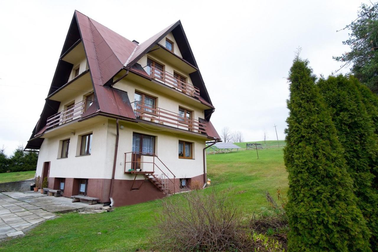 Apartamenty U Gabi Poronin Buitenkant foto